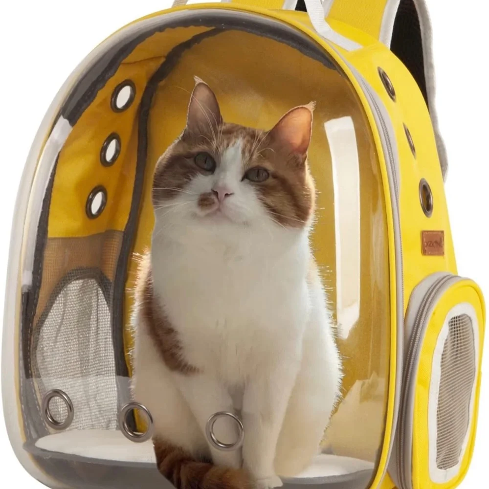 Small pet carrier backpack